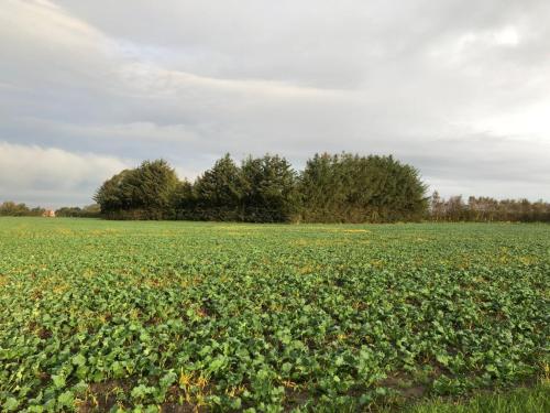 Afbeelding van WhatsApp op 2024-04-09 om 12.00.25_01dbf952