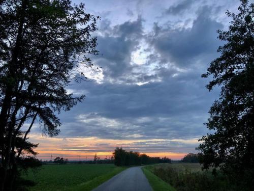 Sunset SFP